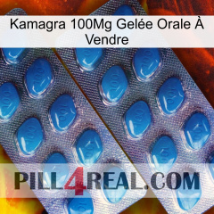 Kamagra 100Mg Gelée Orale À Vendre viagra2